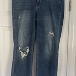 Vervet Flying Monkey Distressed Jeans Ankle Photo 0