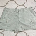 American Eagle  Outfitters 90’s boyfriend short Cargo Shorts Relaxed Fit, Size 18 Photo 0