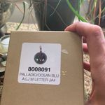 Burberry š„SALEš„Authentic Silver M crystal ball KEY/Charm/pendant Photo 9