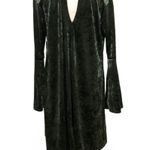 a.n.a NWT  Dark Green Velvet Bell Sleeve Shift Dress winter Christmas holiday party Photo 2