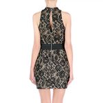 Endless Rose  Midnight Black & Gold Lace Dress Photo 1