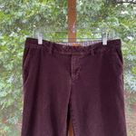Anthropologie  Tulle Women's Brown Corduroy Flare Leg Pants Size 8 Photo 2