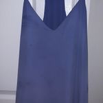 Dainty Hooligan Blue Tank Top Photo 0
