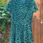 ZARA Woman Dark Green Lace Romper Size M EUC Photo 0