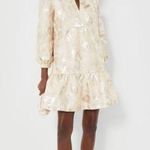Tuckernuck NWT  Champagne Fil Coupe Palmerston Dress - Size S Photo 0