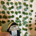 Horny Toad Vintage women’s sweatshirt medium Photo 5