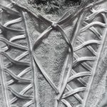 Victoria's Secret Embroidered Corset Photo 1