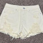 Pac Sun shorts Photo 0