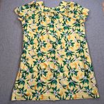 Anthony Richards Lemon Print Night Gown Mumu House Dress Women 2X Yellow Floral Photo 6