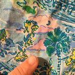 Lilly Pulitzer  Kristen Swing Dress in Lilly Loves South Carolina Surf Blue Photo 9