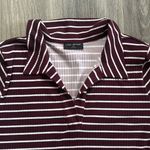 Lane Bryant Burgundy and White Striped Top Collared Stretchy Shirt Photo 1