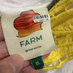 Farm Rio  Fruits Sleeveless Maxi Dress Size XL Photo 3