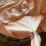 Banana Republic Blush  Skirt SZ 2 (Petite) Photo 1