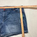 Lane Bryant 22 Plus Rainbow Stripe Denim Shorts Stretch Pride Summer Casual Cute Photo 6