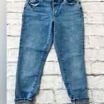 Maurice's Plus Size DenimFlex Medium Plaid Cuffed Jegging size L Photo 0