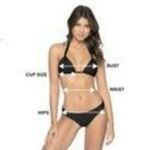 PilyQ NWT  Lace Fanned Full Bikini in Azura Photo 6