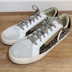 Steve Madden Women’s Size 11 Parka Studded Zippered Leopard Sneakers Photo 2
