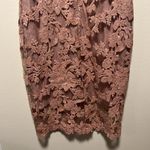 Tadashi Shoji  Floral Lace Illusion Sequin Knee Length Dress, Blush/Pink, Size 6 Photo 8