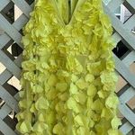 Anthropologie  Maeve Sleeveless Floral Appliqué Mini Dress Photo 1