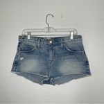 Current/Elliot The Concert Short in Point Break Destroy Denim Jean Shorts sz 29 Photo 1