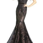 Mac Duggal  79230 Trumpet Gown Embellished Feather Sleeve Illusion Neck Sz 12 Photo 0