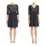 Eliza J . Stunning black dress, black lace top with nude lining Photo 1