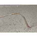 Savvy 281 PUR 50 Photo 5