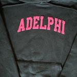 Jansport Adelphi University  Hoodie, Small Photo 1
