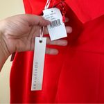 Adelyn Rae  Red Halter Jumpsuit New Small Vixen Siren Photo 13