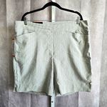 Hilary Radley Blue White Striped Pullon Shorts NWT XXL Photo 0