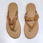 NEW Ancient Greek Sandals 42 Hydor Leather Flip Flops Thong Slides Dustbag 12 Size undefined Photo 4