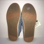 Toms  Sneaker Photo 2