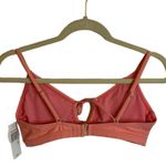 Hot Water NWT  COTAL BANDEAU BIKINI TOP Photo 1