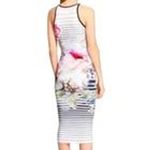 Ted Baker Laya Sleeveless Peony Striped Midi Dress Bodycon sz Large Floral Euro Photo 1