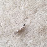 Silver Starfish necklace pendant Photo 1