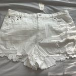 Aerie White Jean Ripped Shorts Photo 0