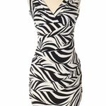 Sweet Storm ✨HP✨ Zebra Ruched Dress✨ Photo 0