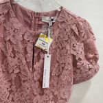 Adelyn Rae Blouse Dawn Pink Lace Peplum Size Small New With Tags Photo 6