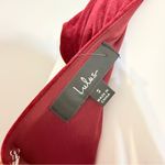 Feeling Flawless Burgundy Velvet V Photo 10