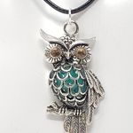 Owl Pendant Necklace w/ Teal Green Resin Body & Bronze Eyes Photo 1