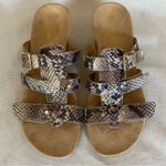 Vionic Women's Radia Snakeskin Print Wedge Sandals Photo 5