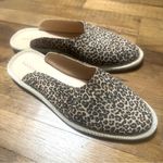 Lucky Brand NWOB Arvy Slip On Mule Leopard Print Eyelash 8 Photo 3