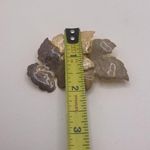 Pretty Metal Enamel Brooch Pin Leaves Autumn Fall Leaf Photo 6