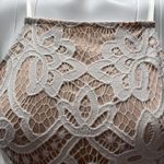 Haute Monde Lace Dress Photo 2