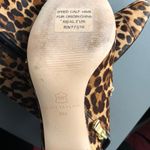 Ann Taylor  Animal Print Stacked Heel Booties Photo 3