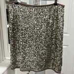 TERI JON Sportswear Silver Sequined Mesh Skirt, Size 12 Photo 0