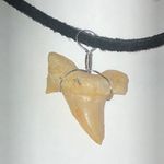 Natural Sharks Tooth Boho Pendant Necklace Tan Photo 0