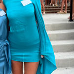 Rat & Boa  Mini Blue Long Sleeve Dress Photo 3