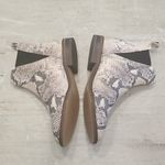 Lucky Brand ππ Jaime Snake Ankle Boots 8.5 NEW Photo 2