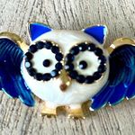 Owl with glasses brooch Photo 0